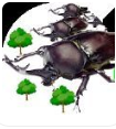 AttackBeetle(x֮gđ(zhn)h)1.0