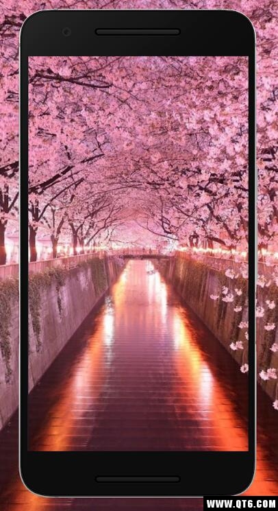 Sakura Wallpaper HD(ѻڼM)1.0.0֙C؈D2