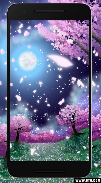 Sakura Wallpaper HD(ӣֽ)1.0.0ֻͼ3