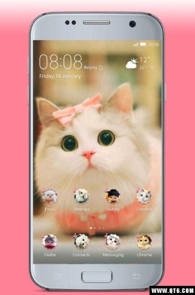 kawaii cats Wallpaper(èֽƯèͼƬ)ͼ2