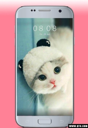 kawaii cats Wallpaper(èֽƯèͼƬ)ͼ3