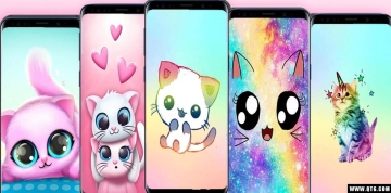 kawaii cats Wallpaper(èֽƯèͼƬ)ͼ4