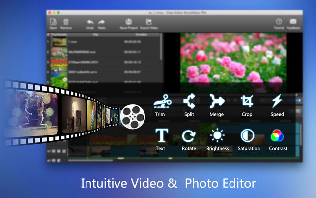 Video Editor MovieMator Proרҵý༭