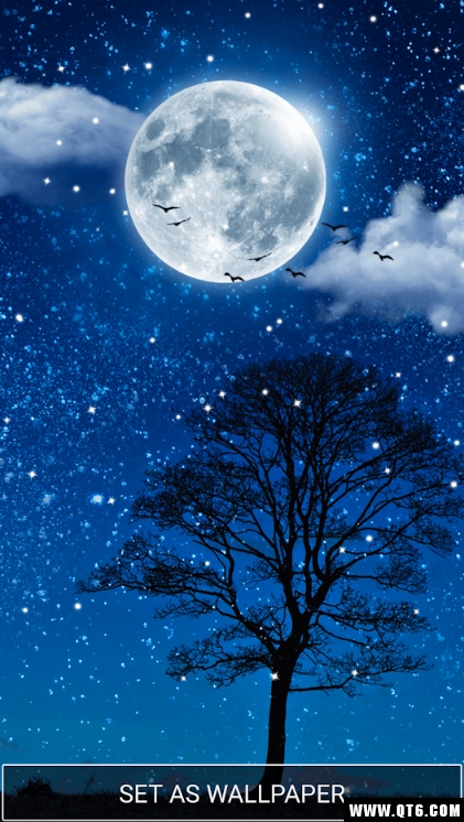 Moonlight Live Wallpaper HD(¹(dng)ڼ)1.5׿؈D0