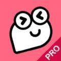 ƤƤϺpro5.2.0°