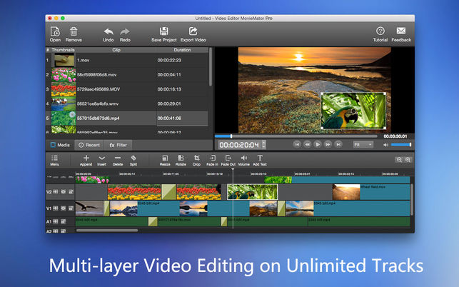 Video Editor MovieMator Proרҵý༭2.5.7רҵͼ1