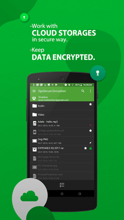 Encryption(EgoSecure޴)13.3׿ͼ1
