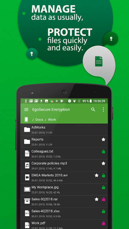 Encryption(EgoSecure޴)13.3׿ͼ0