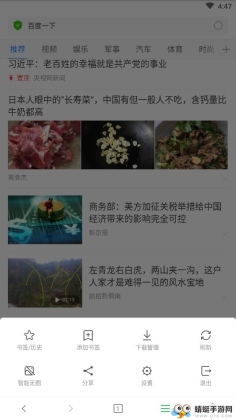 黑鲨浏览器截图1