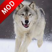 Wolf Dog Simulator(ǹģҰ)1.0.5׿