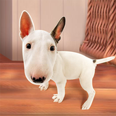 Bull Terier Dog Simulator(ţͷģҰ)1.0.5׿