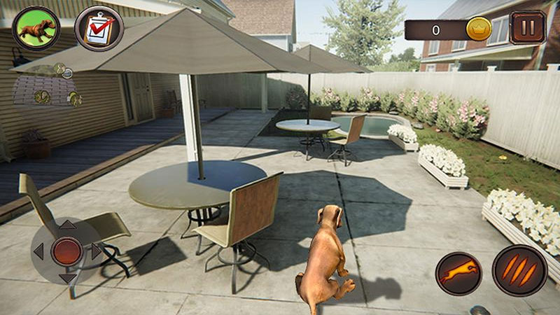 Dachshund Dog Simulator(ģҰ)1.0.9׿ͼ0