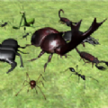 Bug Battle Simulator(x(zhn)ģM3Dٷ)