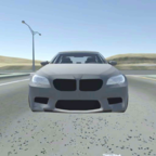 M5 E60 Driving SimulatorM5E60мʻٷ1.1׿