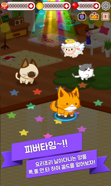 Minipet M Kitten㌙MС؈ٷ1.0.15°؈D3