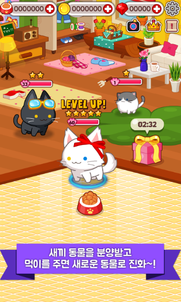 Minipet M Kitten㌙MС؈ٷ1.0.15°؈D1