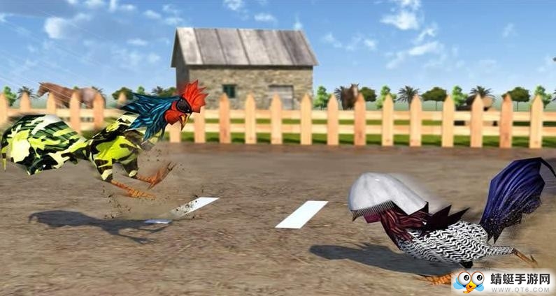 rooster fighting(սʽ)1.0.3ͼ0