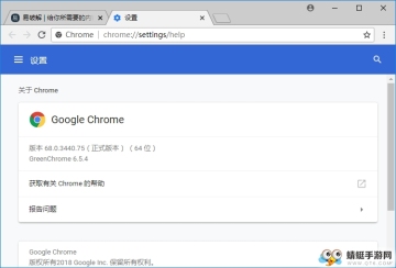 Google Chrome（谷歌浏览器）便携增强版截图0