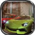 Real Driving 3D(ҫ2020޽Ұ)1.6.1