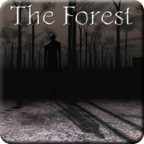 Slendrina: The Forest(m{ӵɭ֟o)1.0.3°