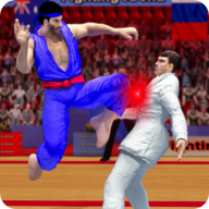 Karate Fighting(ֵ񶷟o؛Ű)1.9.8׿