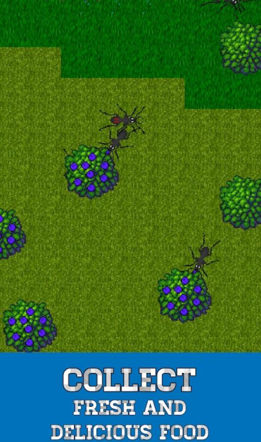 Ant Evolution(ΛρģMȥV)1.3.5׿؈D3