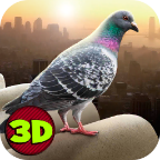 City Bird Pigeon Simulator 3D(ģٷ)1.0׿