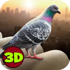 City Bird Pigeon Simulator 3D(ģMٷ)