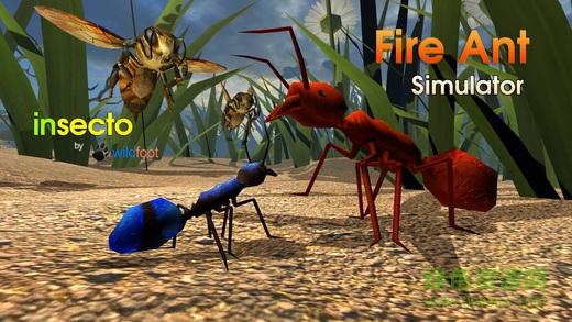 Fire Ant Simulator(ρģMٷ)2.0׿؈D0