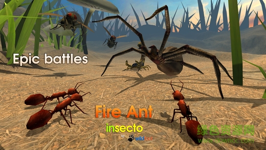 Fire Ant Simulator(ρģMٷ)2.0׿؈D1