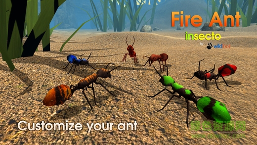 Fire Ant Simulator(ρģMٷ)2.0׿؈D2