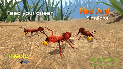 Fire Ant Simulator(ρģMٷ)2.0׿؈D3