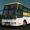 Real Proton Bus Simulator(ӿͳģٷ)1.0.3׿