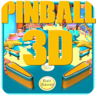 Summer Slam Pinball 3D(ļM؞3D⸶M)1.4°