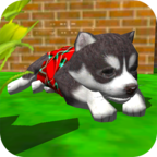 Cute Pocket Puppy 3D(Сģ3Dٷ)1.2.2.3׿