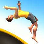 Flip Master(D(zhun)󎟟o޽Ű)2.1.0׿