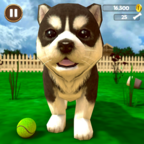 Virtual Puppy Simulator(СģҰ)1.6׿