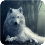 The Wolf(ɭֻԭģٷ)1.0.2׿