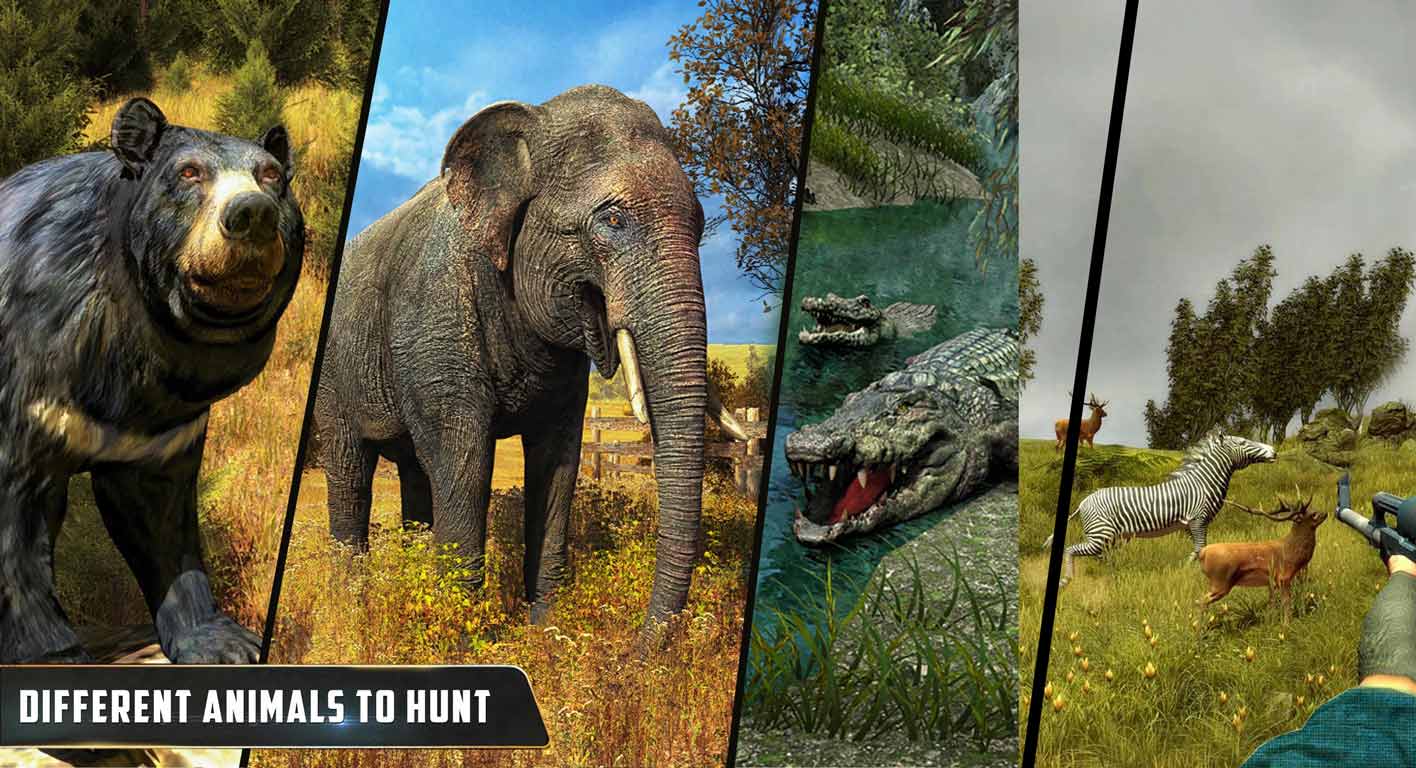 Animal Hunter : Jungle Sniper Shooting((dng)־ѓ֟o(w)޽Ű)1.10׿؈D1