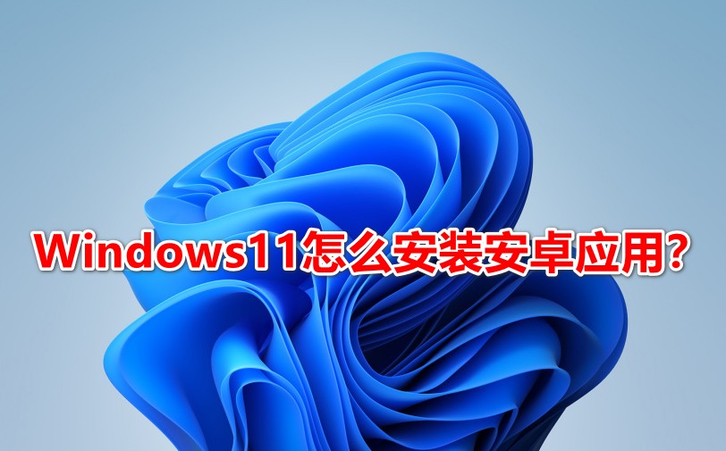 windows11ôװ׿Ӧ Windows11 22000ֶװWSAAndroid̳
