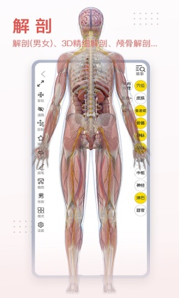 3dbodyͼֻͼ1