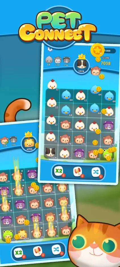 B(Pet Connect)1.4.7°؈D2