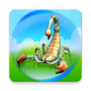 Ҷֻ1.0İ