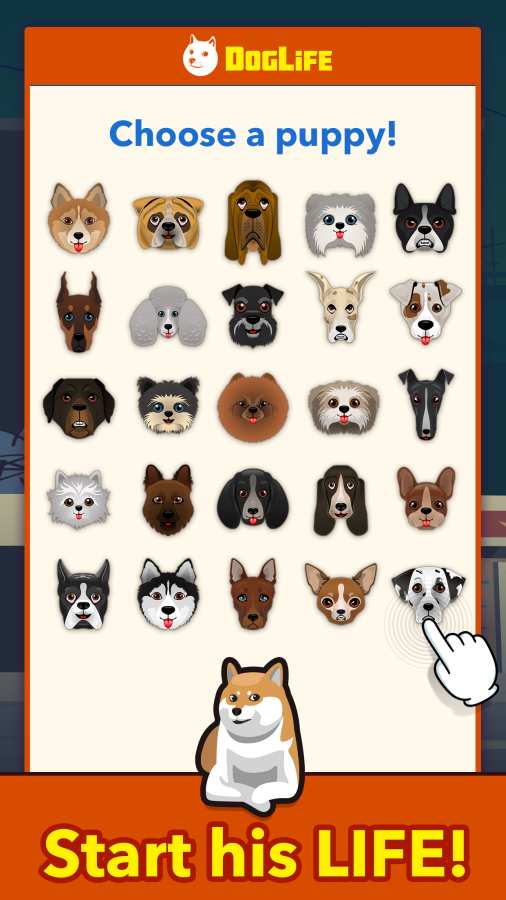 DogLife()1.0.2׿؈D2