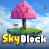 Սu֙C(j)(Sky Block)1.5.1.3İ