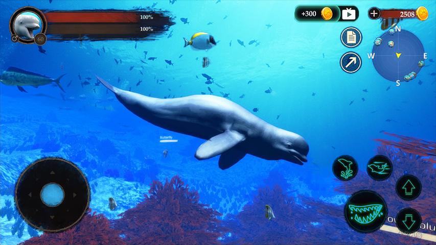 The Beluga WhaleLģM֙C(j)1.0.1׿؈D1