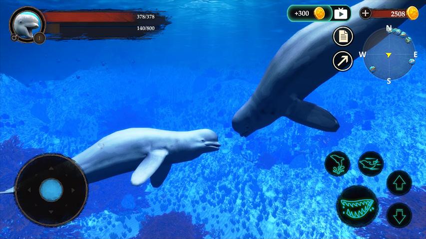 The Beluga WhaleLģM֙C(j)1.0.1׿؈D2