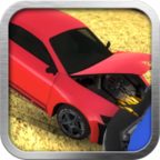 Car Crash 3D(ײ3D޽Ұ)