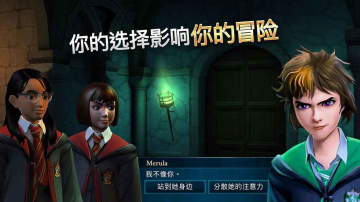 Harry Potter(ػִ֮ڹƽ)ͼ2