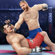 MMA Fighting(սƽ)2.0.4°